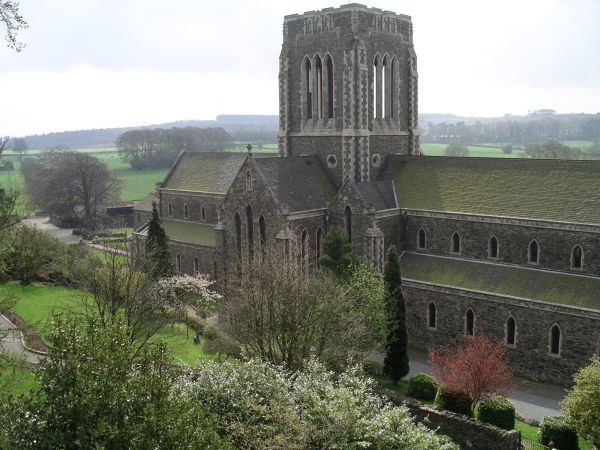 Abbey church north flank (Image: Nicholas Callinan)